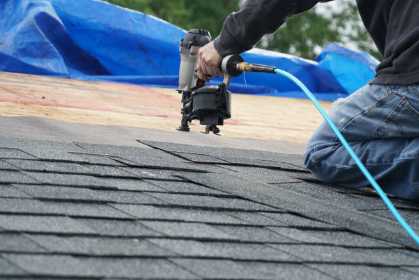 Quick and Trustworthy Emergency Roof Repair Services in Beacon Hill, WA