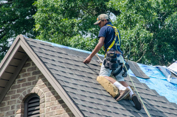 Best Best Roofing Contractors  in Beacon Hill, WA